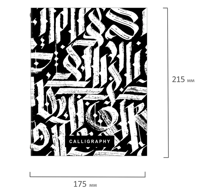 Тетрадь на кольцах  А5, 240л, клетка, с разделителями, Brauberg Calligraphy