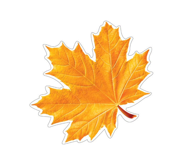 Открытка Мир открыток для украшения, на скотче