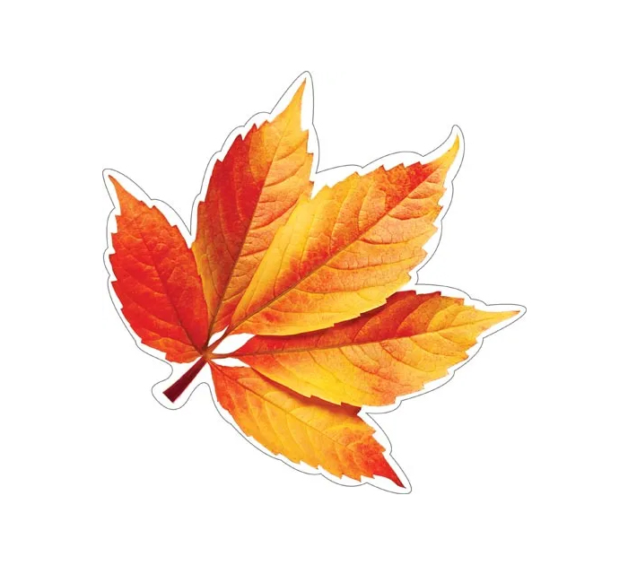 Открытка Мир открыток для украшения, на скотче