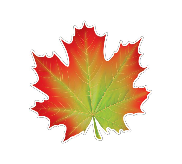 Открытка Мир открыток для украшения, на скотче