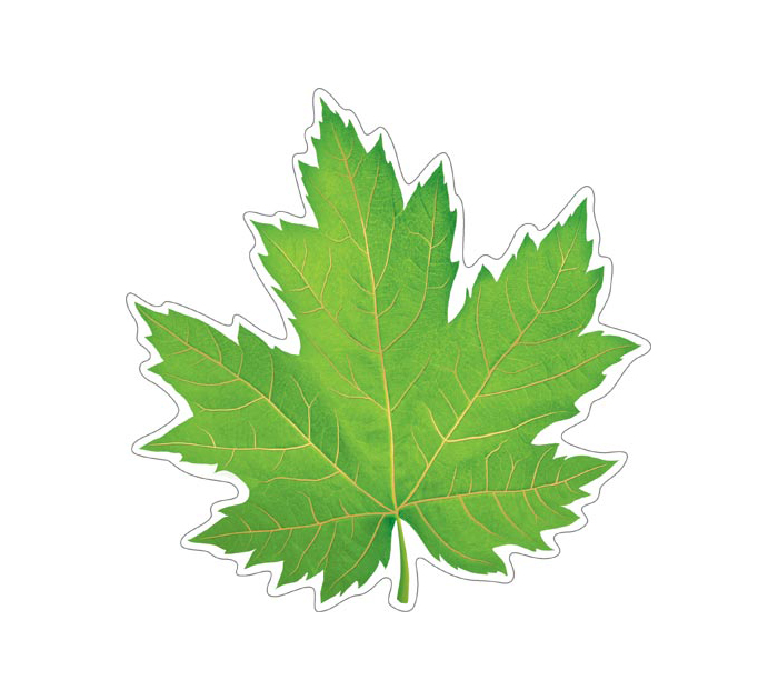 Открытка Мир открыток для украшения, на скотче