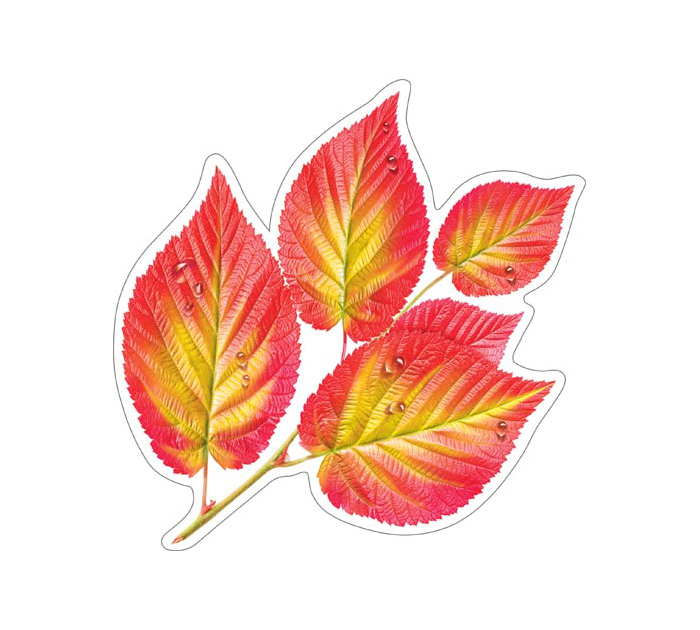 Открытка Мир открыток для украшения, на скотче