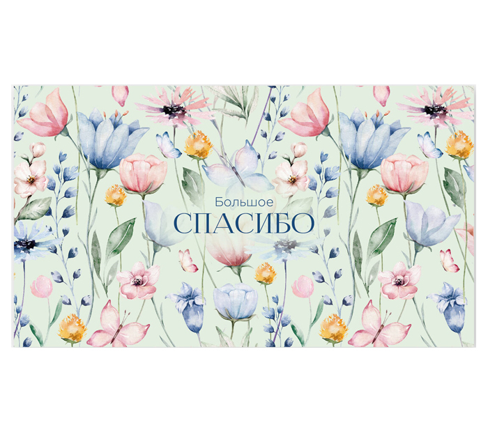 Открытка DecorCenter «Спасибо большое» для денег, 160х90мм