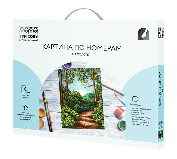 Картина по номерам Три совы «Лесная тропа» на холсте, 40х50см