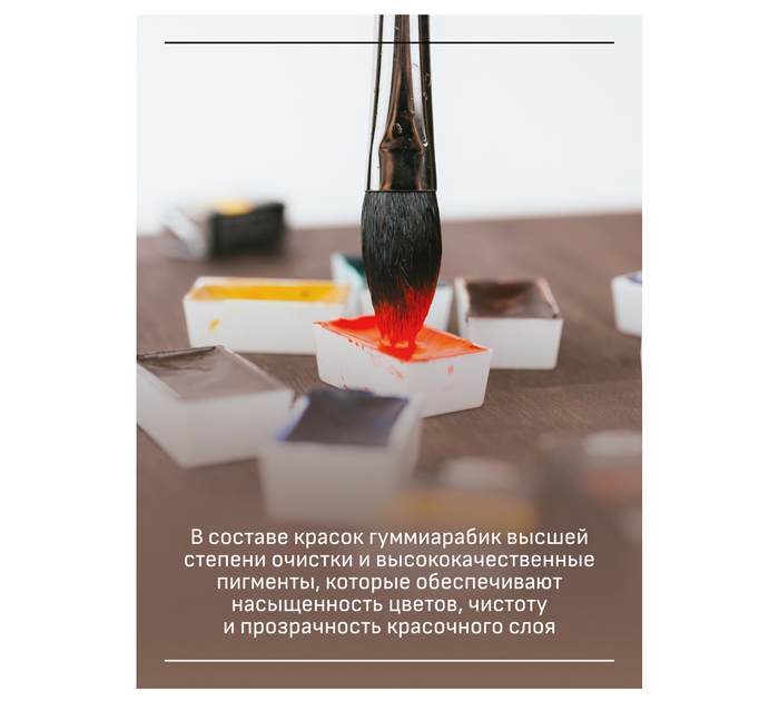 Акварель художественная Гамма «Старый мастер» оксид черный, 2.6мл, кювета