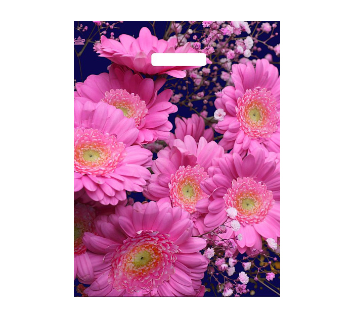 Мешок АО «ТИКО-Пластик» «Яркие герберы», 45х38см, 60мкм