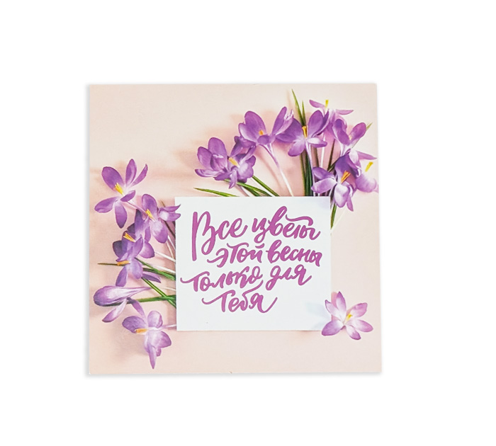Открытка Panda Print «8 марта. Все цветы этой весны только для тебя», крокусы, 80х80мм