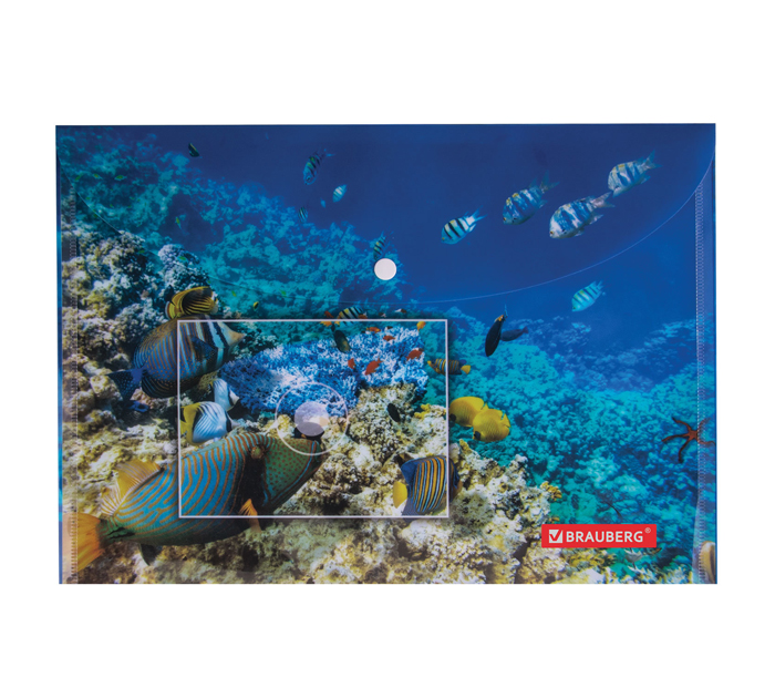 Папка-конверт Brauberg «Sea world» А4, на кнопке, с рисунком, 160мкм
