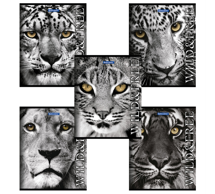 Тетрадь А5 48л  клетка, Brauberg «Дикие и свободные»