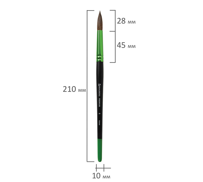 Кисть Brauberg «Premium» №8, пони, круглая