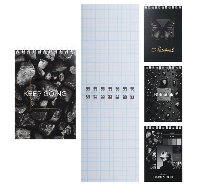 Блокнот А6 на спирали Fiorenzo «Черные мотивы» клетка, 80л