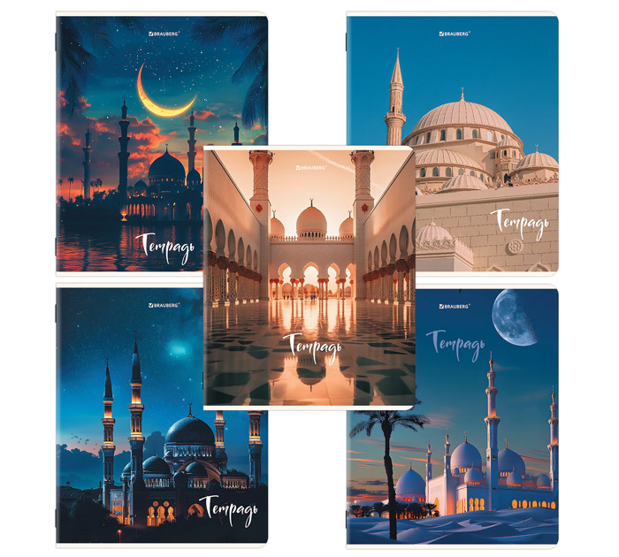 Тетрадь А5 48л клетка Brauberg