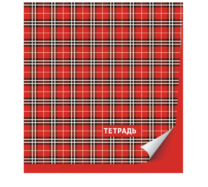 Тетрадь А5 96л