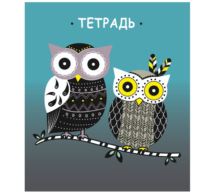 Тетрадь А5 96л клетка Совы