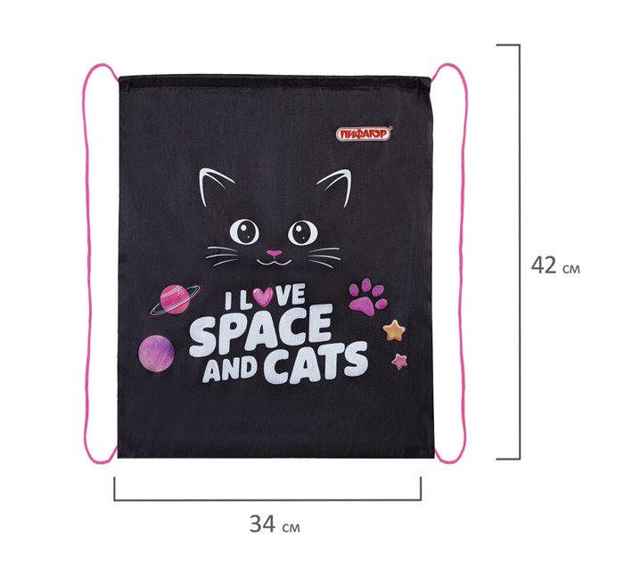Мешок д/обуви 42*34 1отд. Пифагор Dark kitten